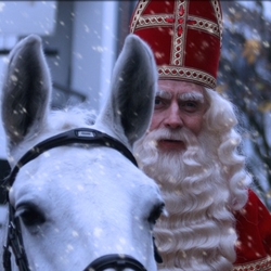 De-echte-Sint-boeken