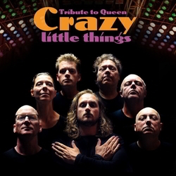 crazy little things queen tribute boeken