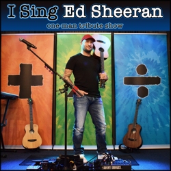 i sing ed sheeran boeken