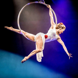 Aerial-Hoop-boeken