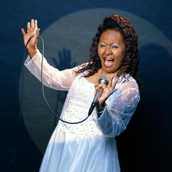 Aretha-Franklin-Imitator-boeken