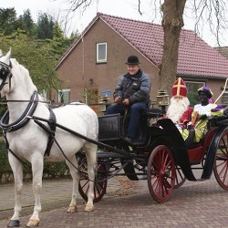 de koets van sinterklaas boeken