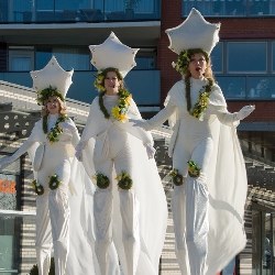 de witte wensfee boeken