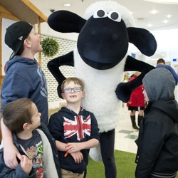 shaun het schaap boeken