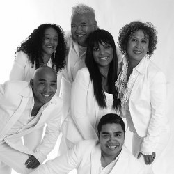 The-New-Gospel-Sensation-boeken