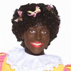 dans piet boeken