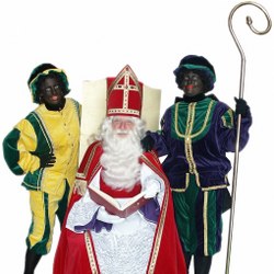 sinterklaas intocht team boeken