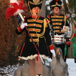 ganzenfanfare boeken