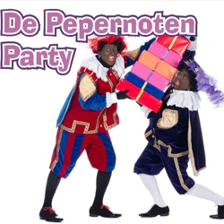 de pepernoten party sinterklaasshow boeken