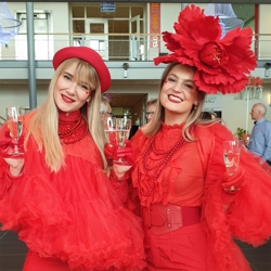 lady's in red boeken