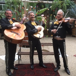 mariachi serenata mexicana boeken