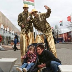 steltlopers chique goud boeken