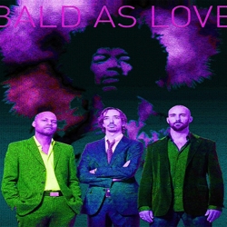 bald as love jimi hendrix tribute boeken