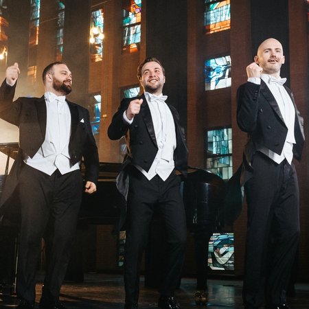 The-Diamond-Baritones-boeken